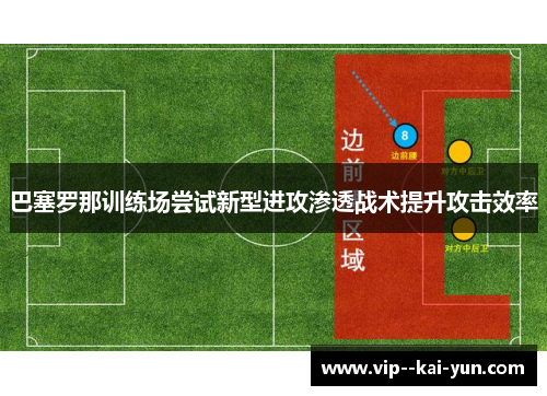 巴塞罗那训练场尝试新型进攻渗透战术提升攻击效率 巴塞罗那训练场尝试新型进攻渗透战术提升攻击效率