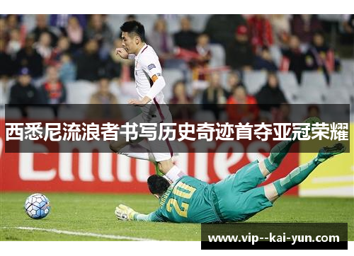 西悉尼流浪者书写历史奇迹首夺亚冠荣耀 西悉尼流浪者书写历史奇迹首夺亚冠荣耀