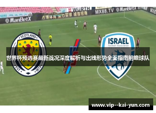 世界杯预选赛最新战况深度解析与出线形势全面指南前瞻球队